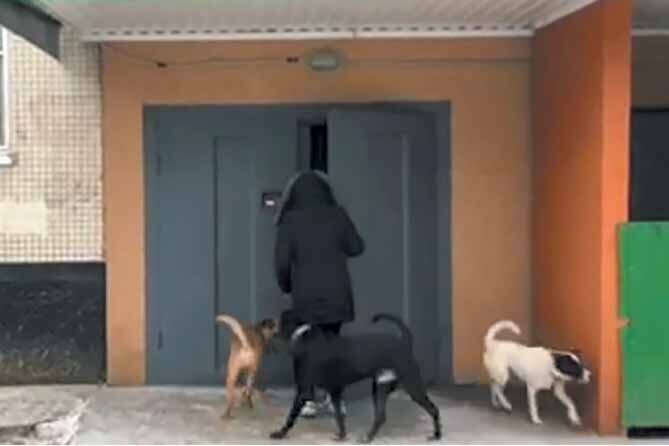 фото: «Тольяттинский навигатор»