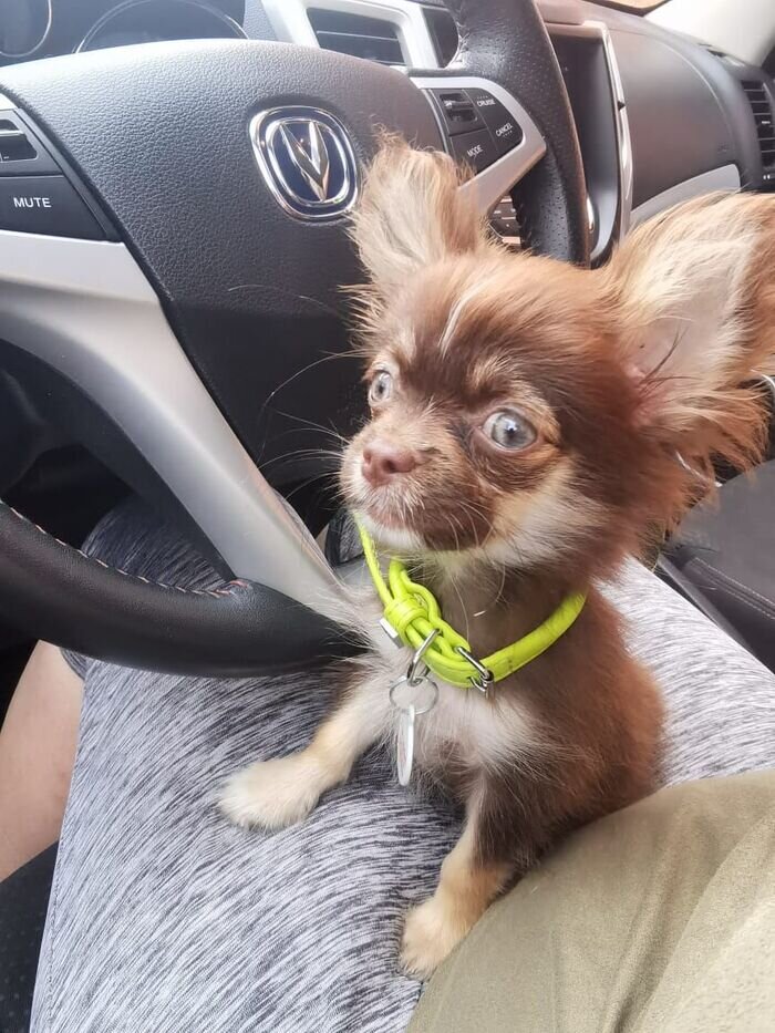 Листайте вправо, чтобы увидеть больше изображений