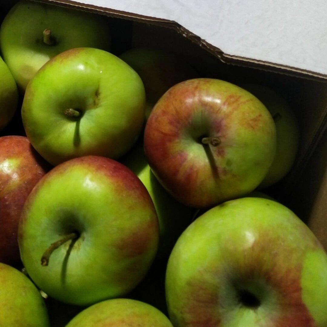 Яблоки в магазине Светофор 🚥