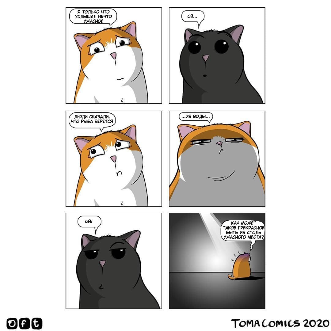 Девочка панда и кот барсик white box. Кто такой интроверт человек. Побыть наедине с самим собой. Тишина и кот счастье интроверта мало кто поймёт. Мемы про интровертов.