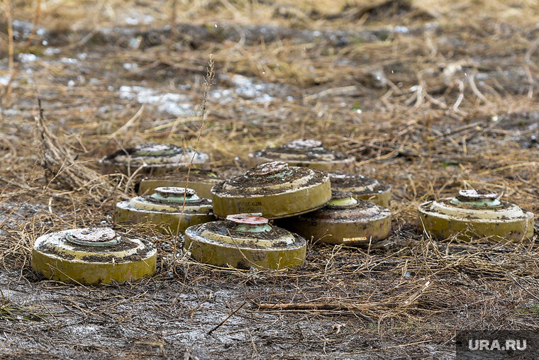    Большая площадь минных полей негативно влияет на положение дел в сельском хозяйстве Украины, заявил Денис Шмыгаль