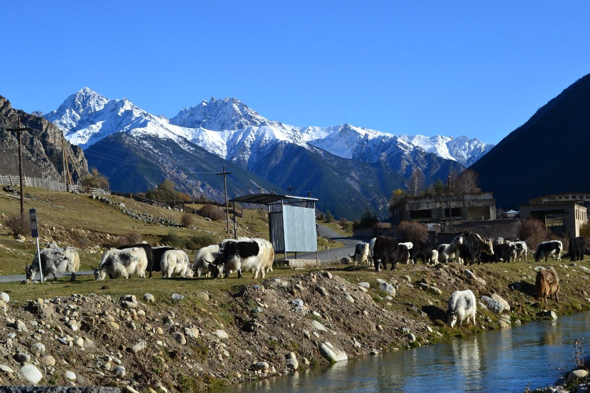 Учку-лан. С яндекс-картинки https://clck.ru/33DuRq