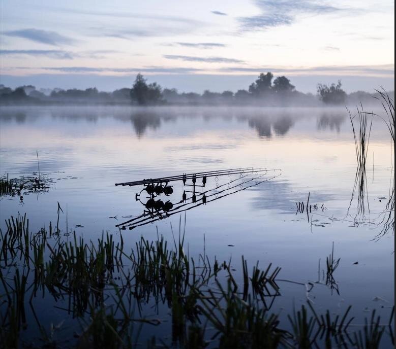 Фото из общего доступа