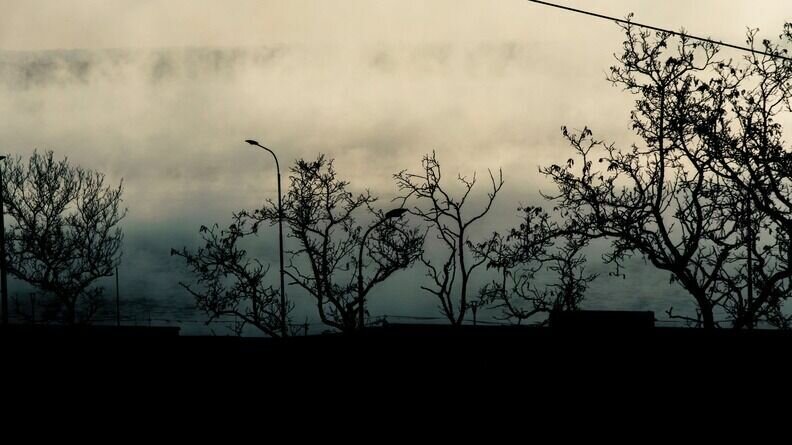     В Карелии начала работать команда «Ночного патруля» при поддержке крупной социальной сети, посвященной поиску людей.