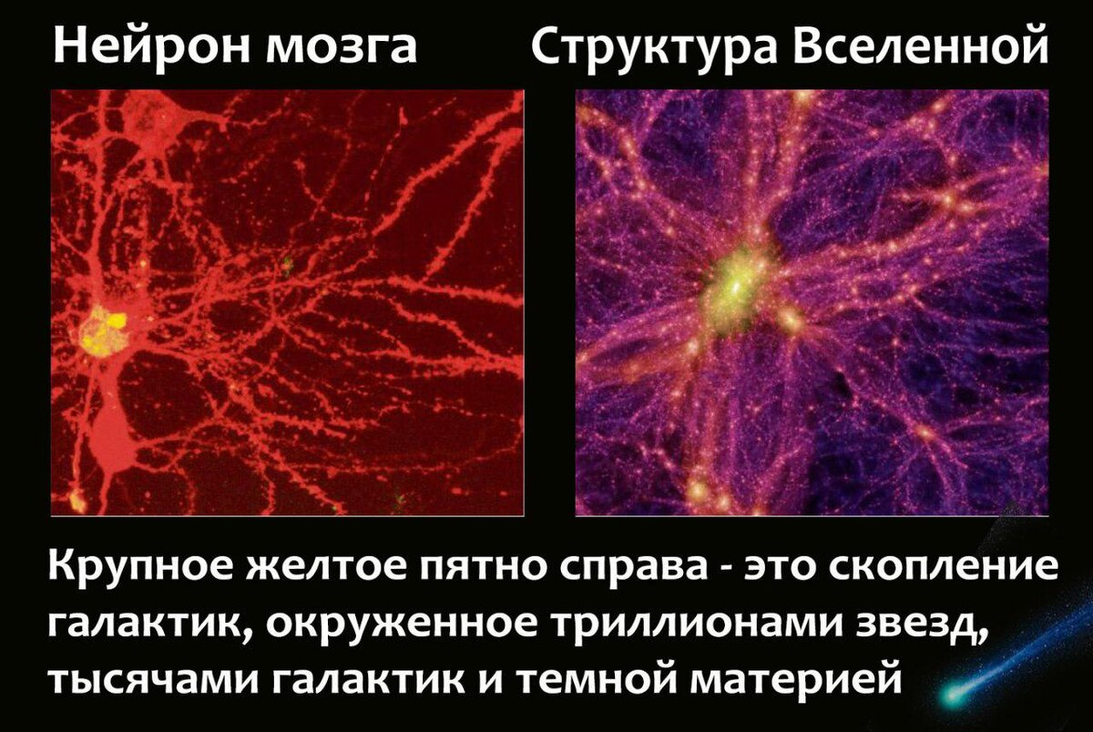 Исследователи обнаруживают,что при определенном рассмотрении структура Вселенной, социальных сетей и мозга человека удивительно похожи, что демонстрирует схожую динамику эволюции этих на первый взгляд  совершенно разных сложных систем. Эволюцию этих небиологических систем можно сравнить  с развитием гигантского мозга.