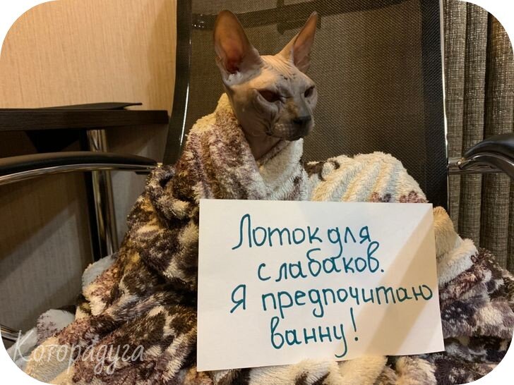 Источник: reddit.com