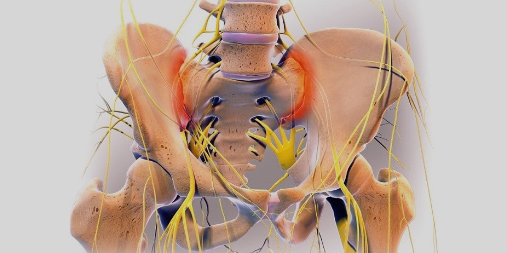 Верхняя часть крестца соединяется с последним поясничным позвонком (L5),  его нижняя часть-с копчиком, а боковые поверхности  тазовыми костями с обеих сторон