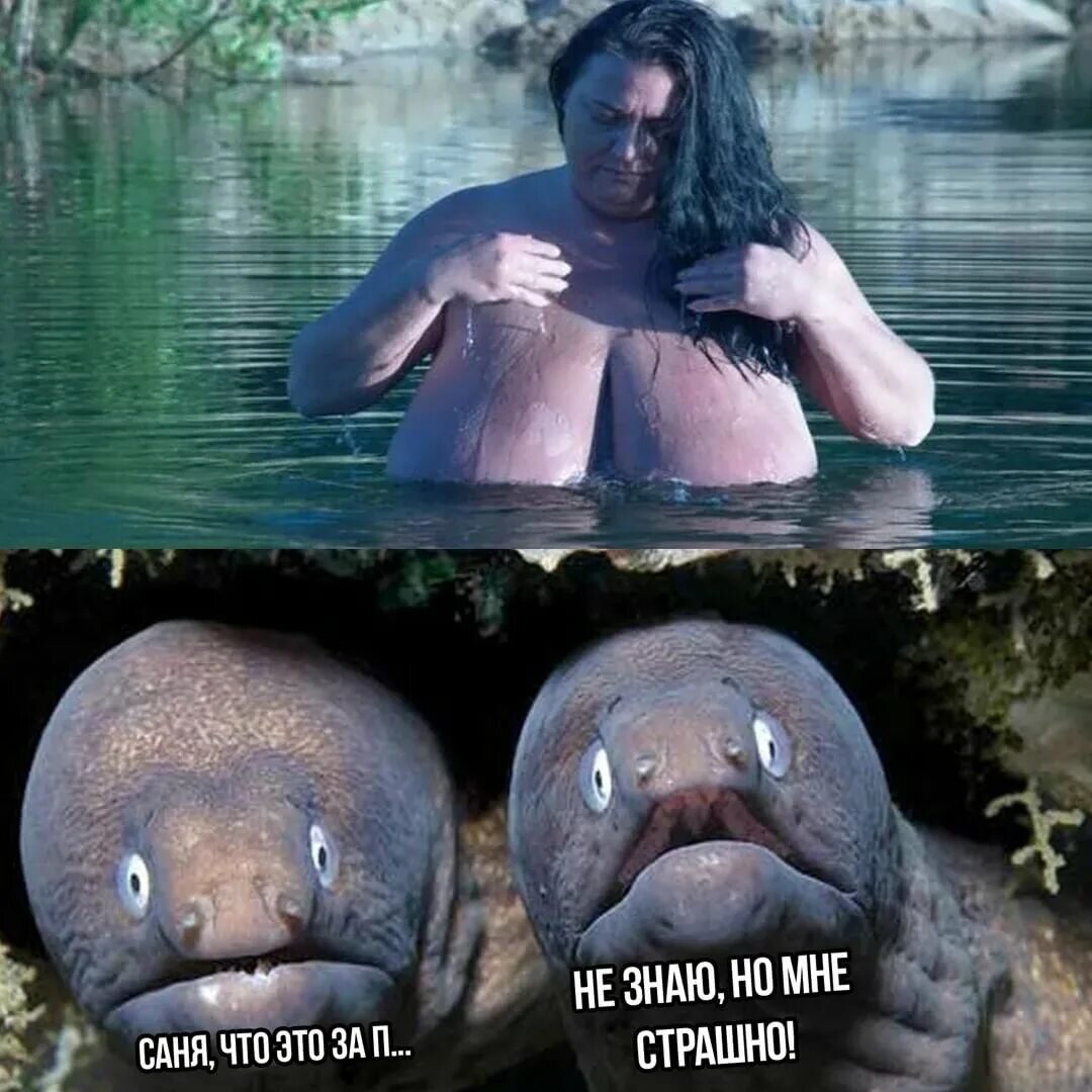 Как бы ты отреагировал? Если перед тобой стаяло такое чудо.. 