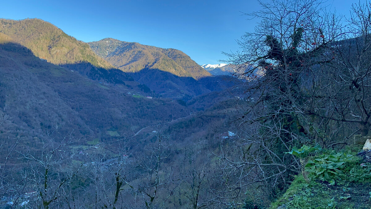 Это фото из Аджарии начала ноября, но примерно так выглядели горы по военно-грузинский дороге в середине ноября 