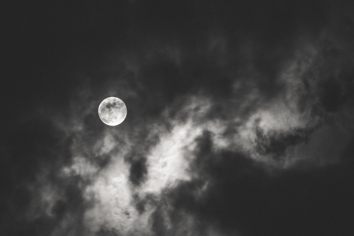фото - https://ru.freepik.com/author/wirestock на https://ru.freepik.com/