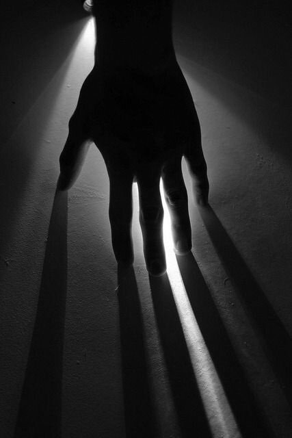 Фото с сайта: https://ru.pinterest.com/pin/576108977341664631/