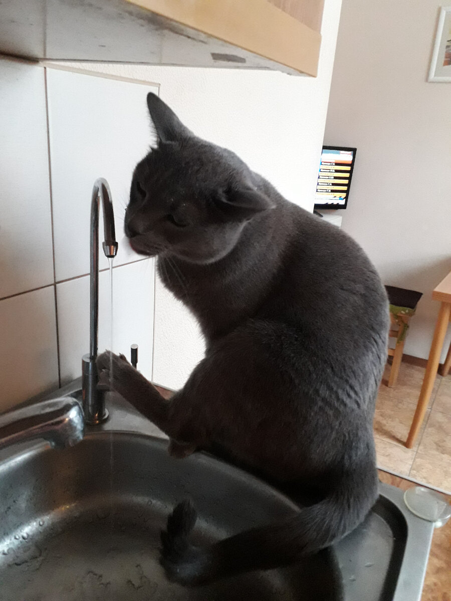 НОВЫЙ ГОД УЖЕ ПРОШЕЛ, А СУШНЯК ТОЛЬКО ПРИШЕЛ.