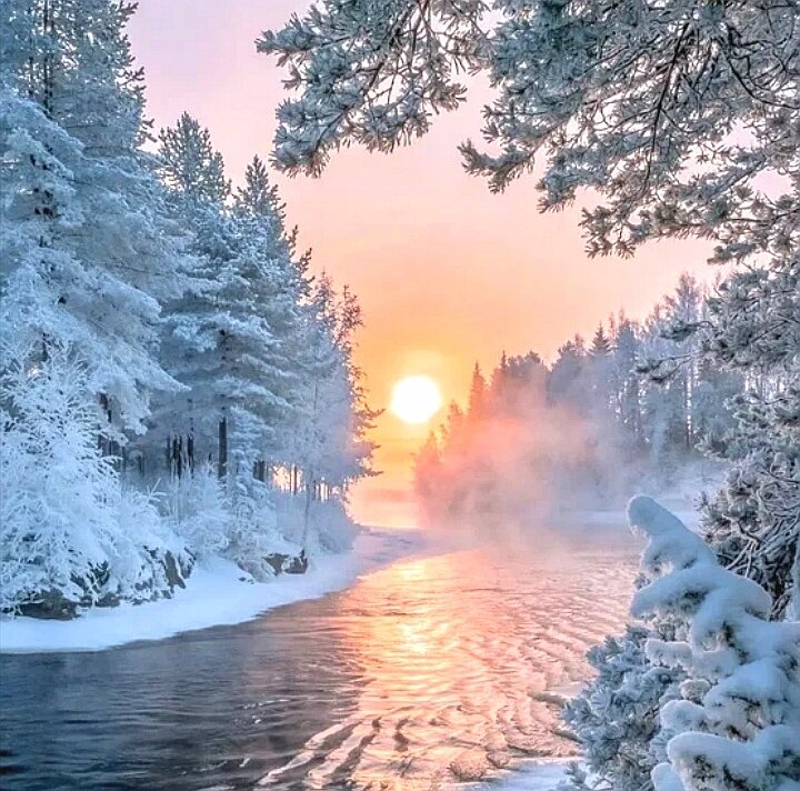 Прекрасные дни  зимы... 