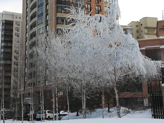     Фото "МК в Новосибирске"