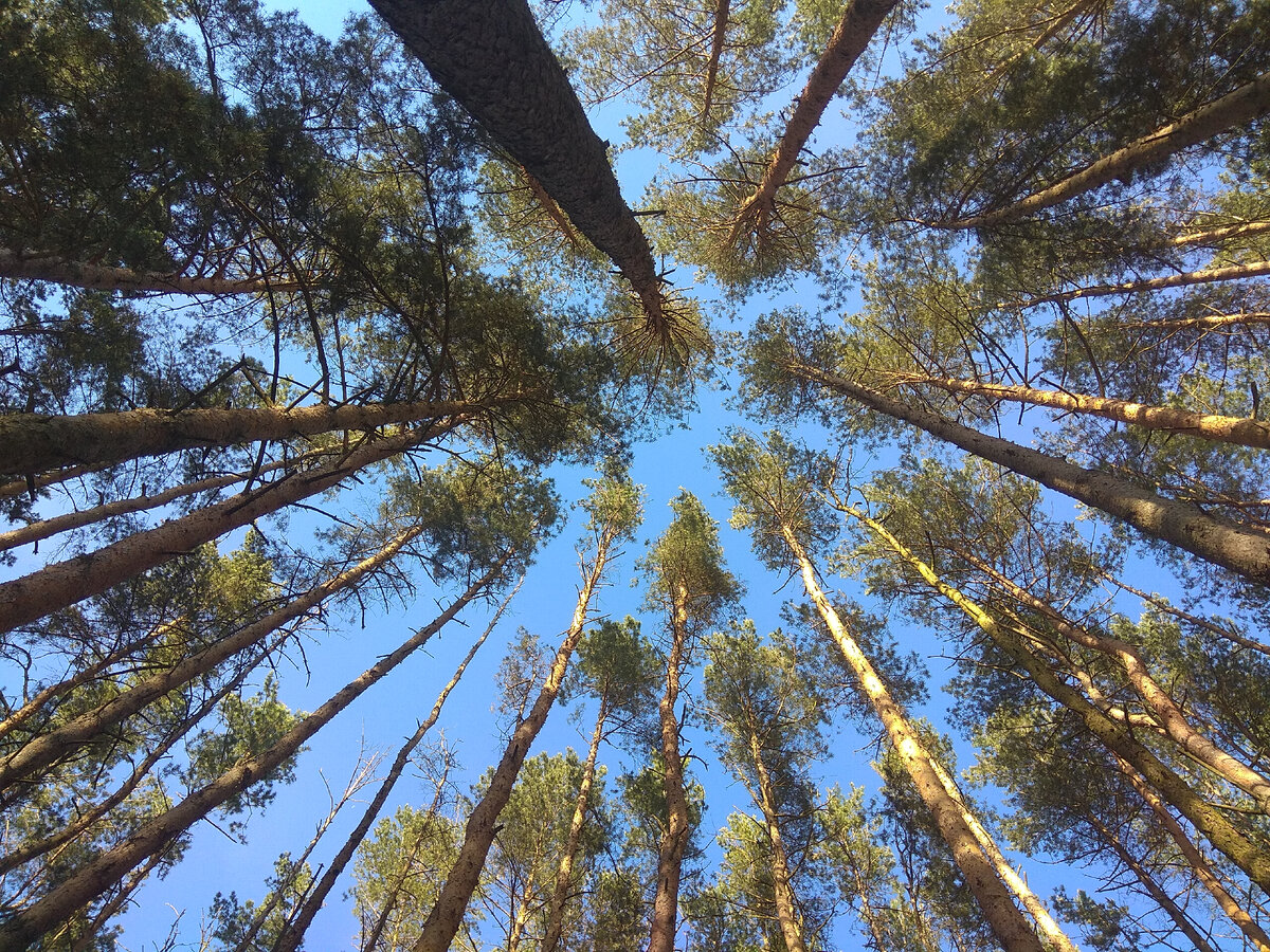 Мой самый частый объект для снимков