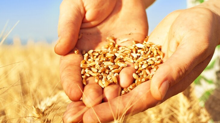 йФото: depositphotos/mur162