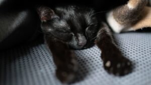    Фото: Mike Stillwater / unsplash.com Константин Бухтатов