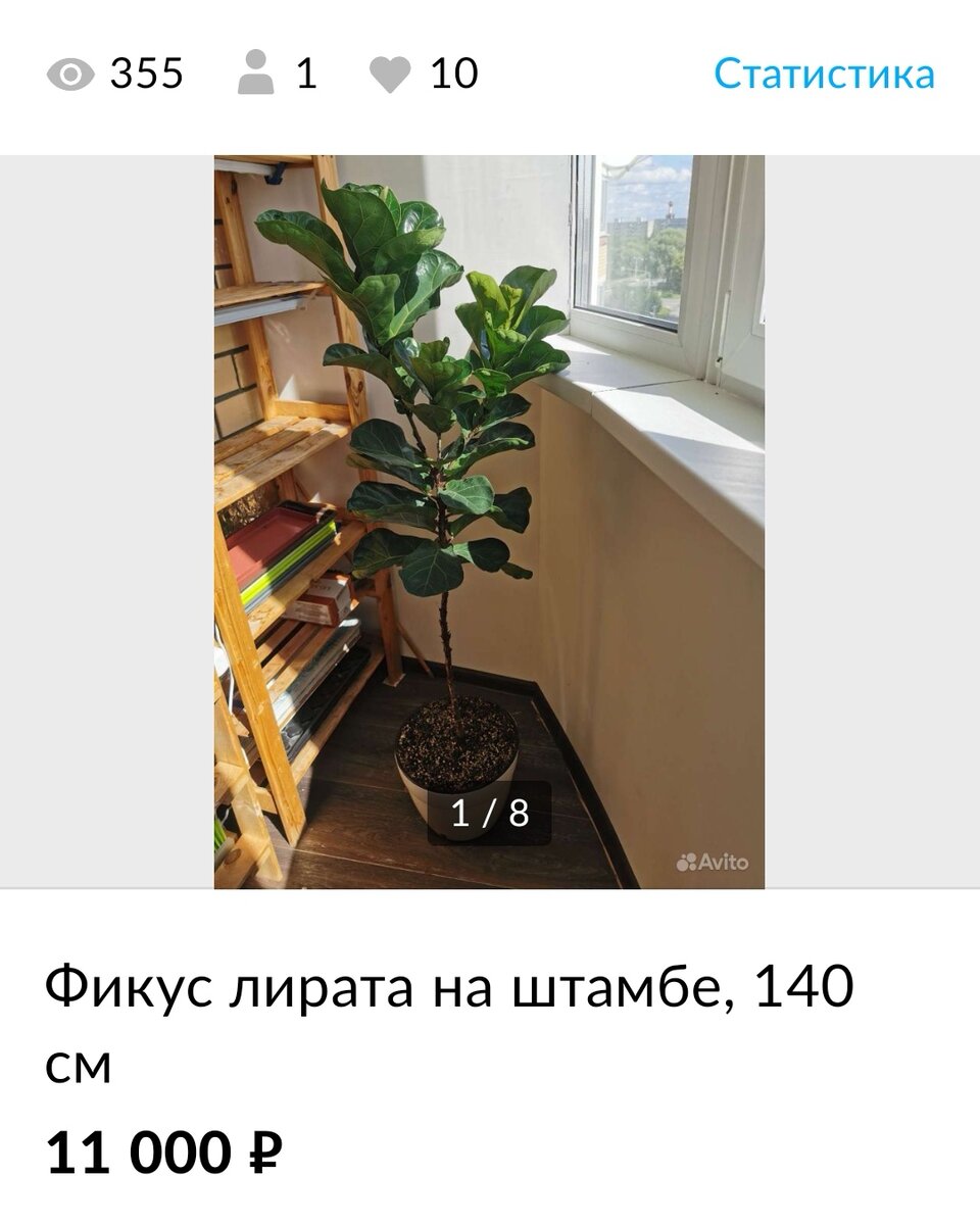 Какие вещи принесли мне больше всего денег на Авито | Записки Авитоголика |  Дзен