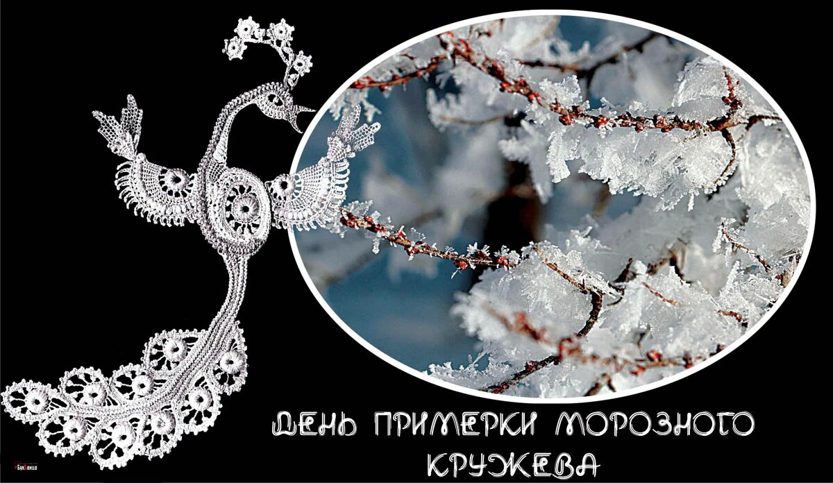 День примерки морозного кружева. Иллюстрация: «Курьер.Среда»