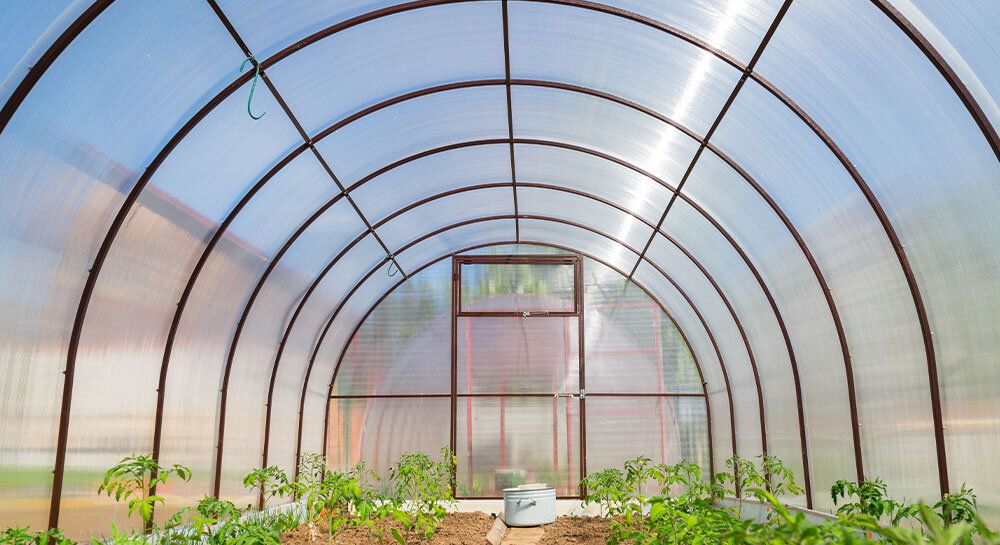 теплицы из поликарбоната