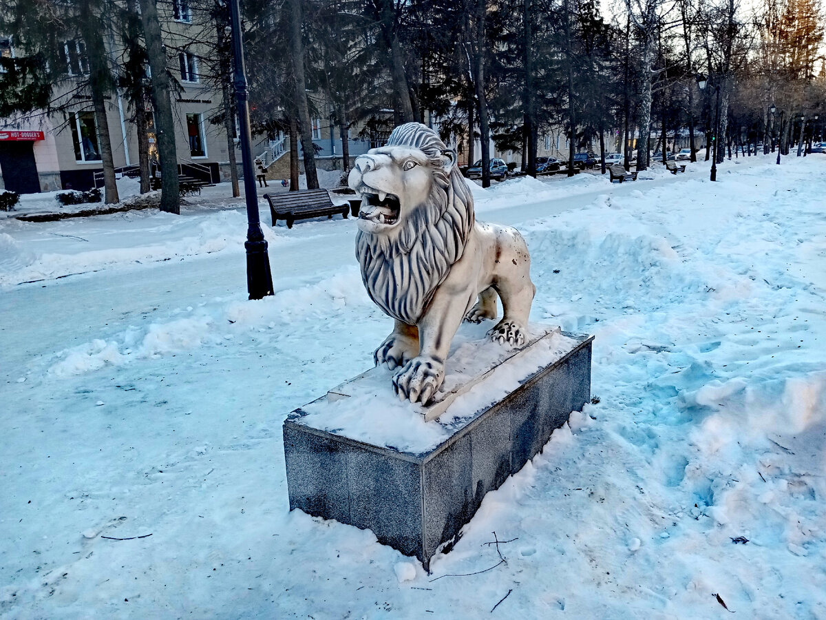Все фото автора канала