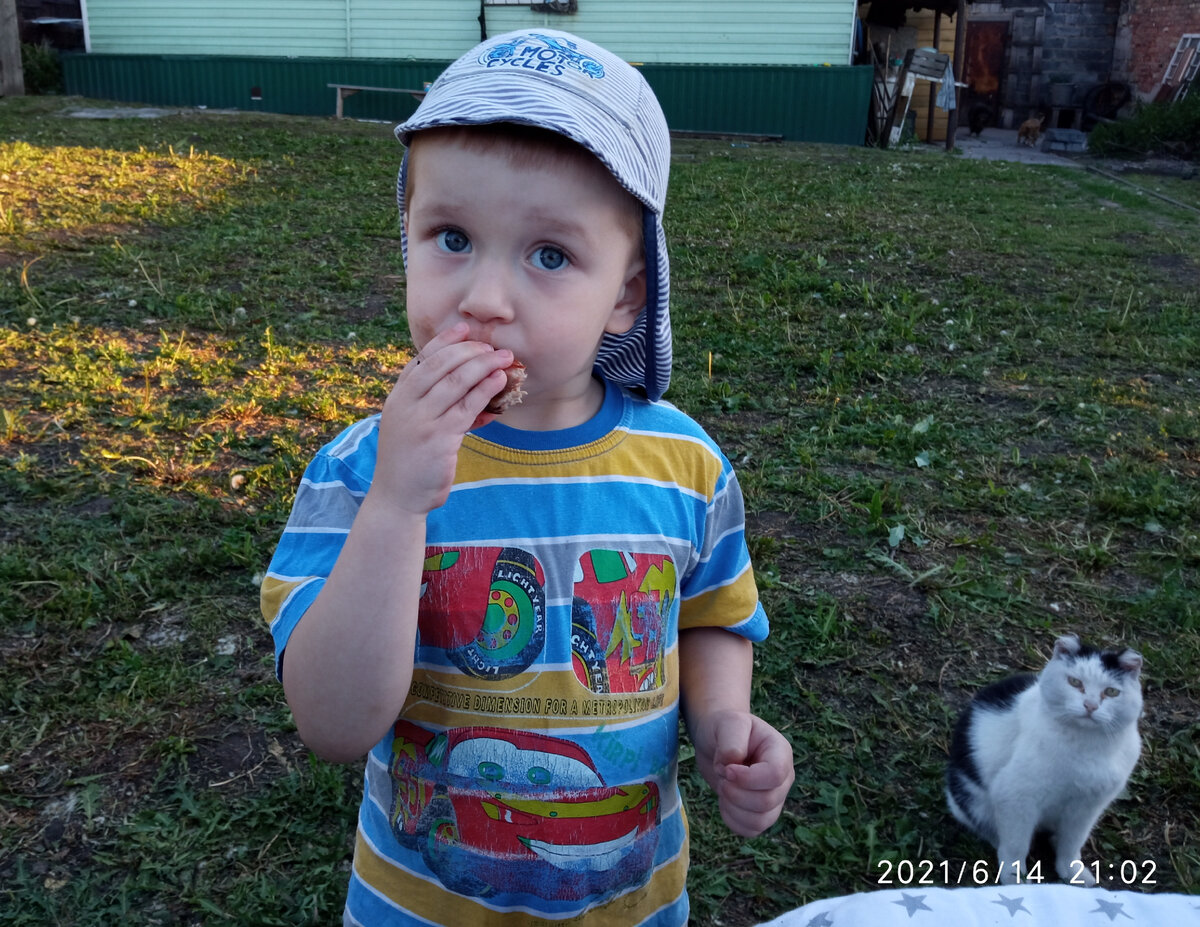 Ну нет у меня фото горошницы, простите. Фото Вади и Шурика лучше))