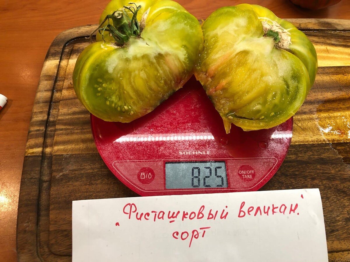 Розы