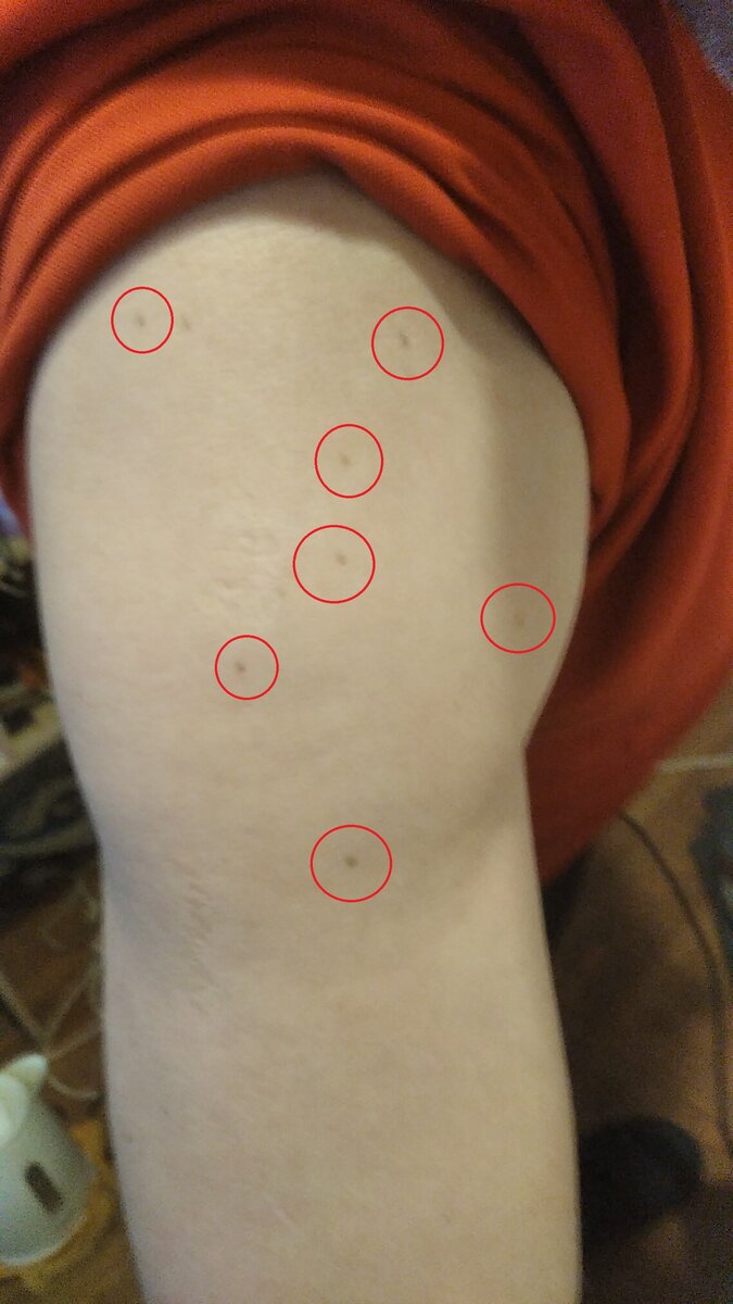 Табула раса