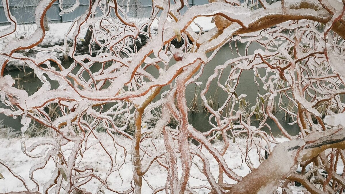    О погодных условиях на ближайшие дни рассказали синоптики Башгидрометцентра
