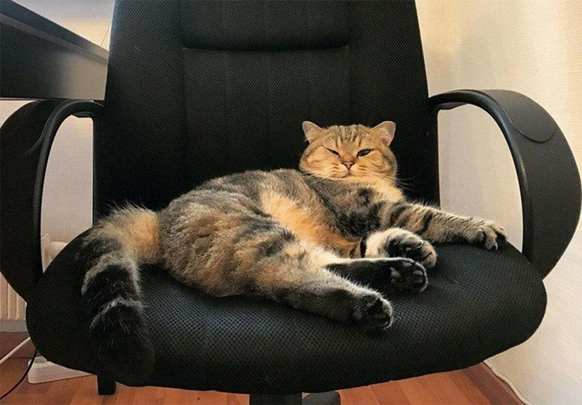 -2