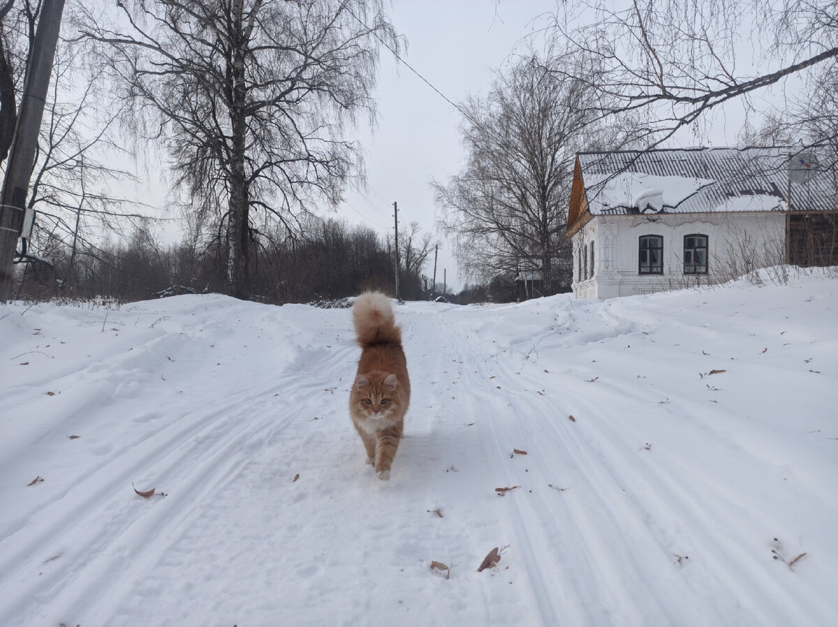 Вятский хутор