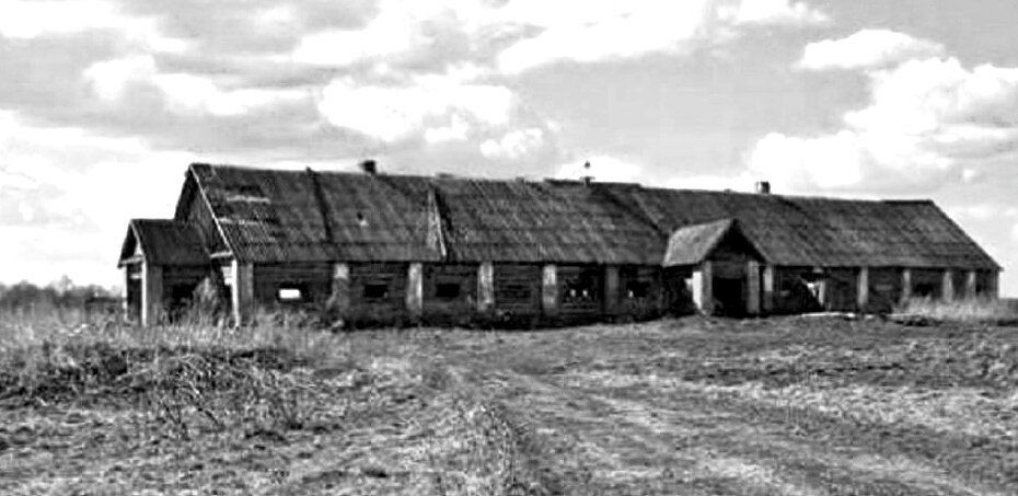 Вот так выглядела наша молочная ферма в середине 1970-ых. Фото из личного архива автора. 