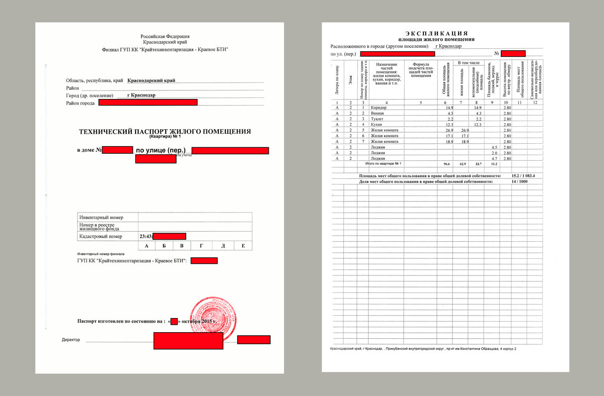 Фрагмент технического паспорта. Рисунок №1