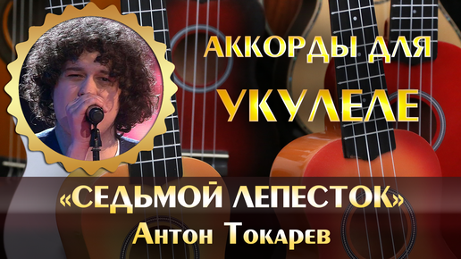 Седьмой лепесток аккорды