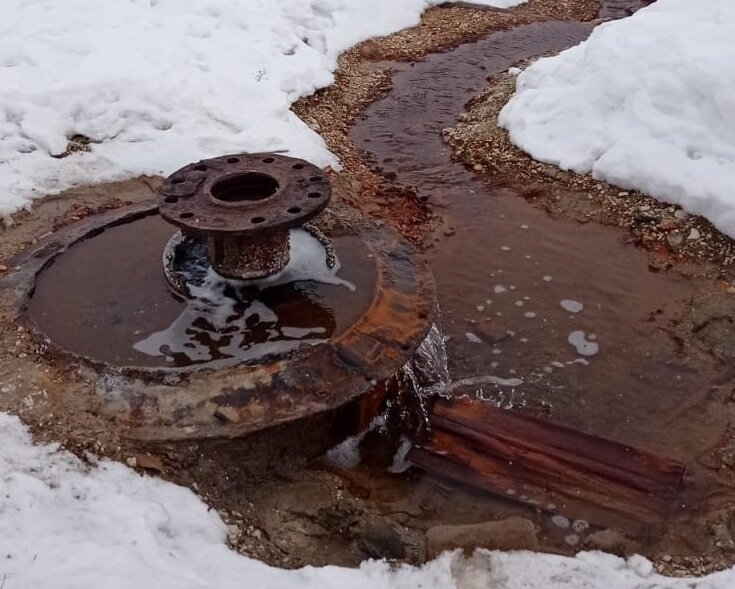    Фото: АНО "АСИРИС" Анастасия Красушкина