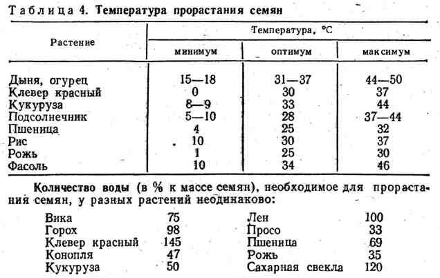 Как проверить семена на всхожесть / семена Семена, Советы, Растения