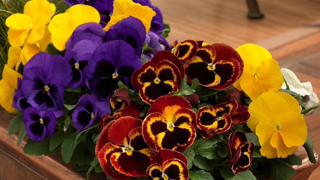 Подраздел 2.1: Богиня Анюта - защитница дома и семьи