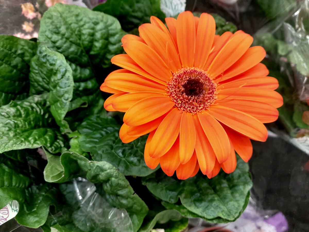 Фотография автора.