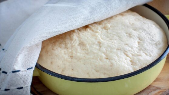    Почему дрожжевое тесто не поднимается: главные ошибки Татьяна Сидорова