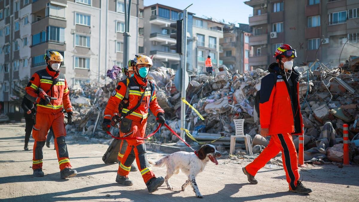    Спасатели с поисковой собакой на месте землетрясения в Турции:Riza Ozel / dia images via Getty Images