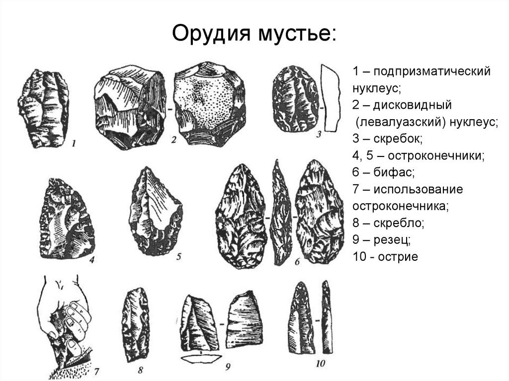 Рассмотрите изображение каменных орудий древних людей на с 10 учебника