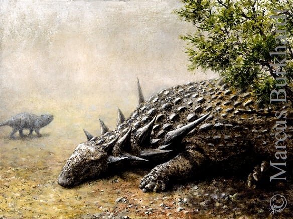 Тяжела и неказиста жизнь завропельты.