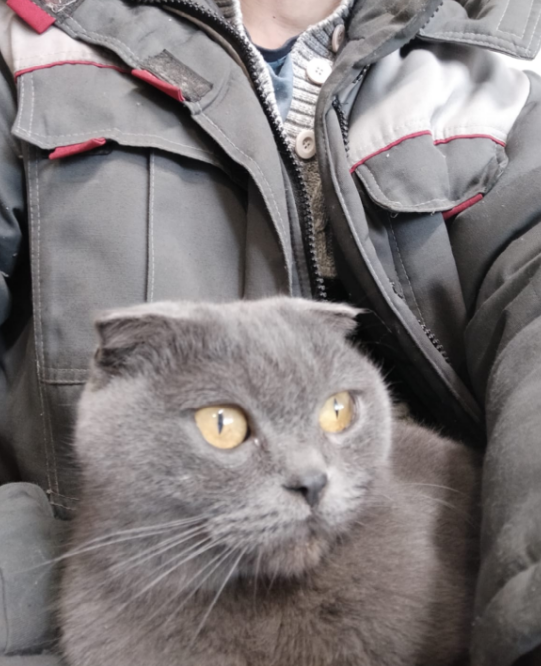 Фото автора