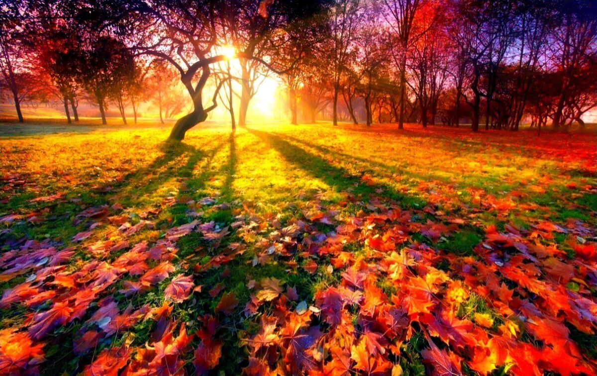 Изображение с Яндекс.Картинки