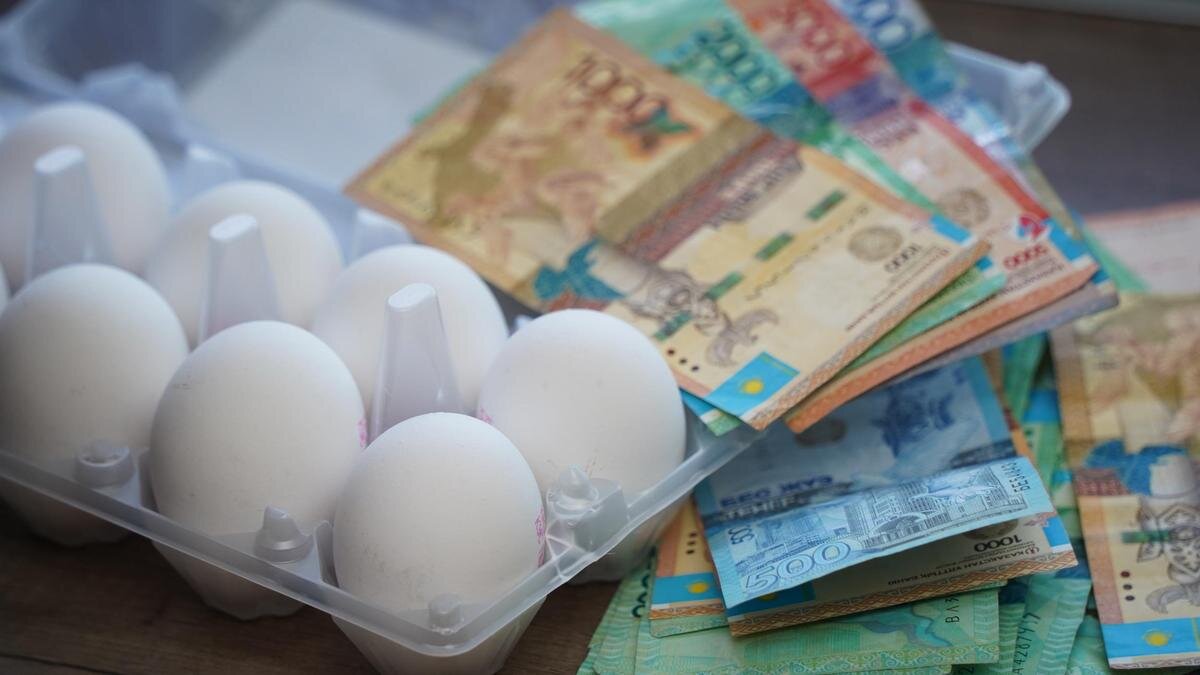    Деньги лежат рядом с кареткой яиц:NUR.KZ/Владимир Третьяков
