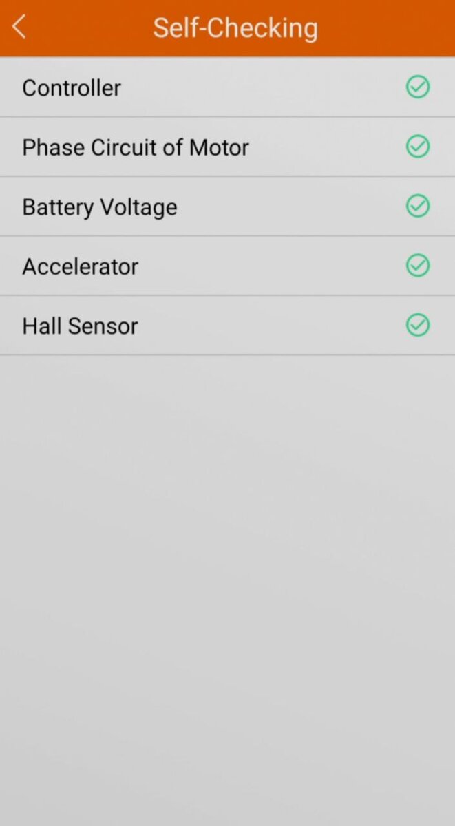 В данном разделе мы можем видеть диагностику электронных узлов.