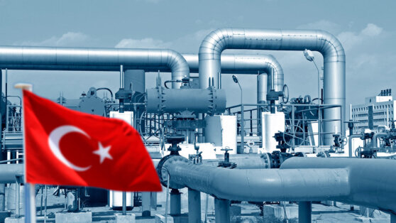    Проект газового хаба в Турции должен стать функциональным в течение года Екатерина Щербакова