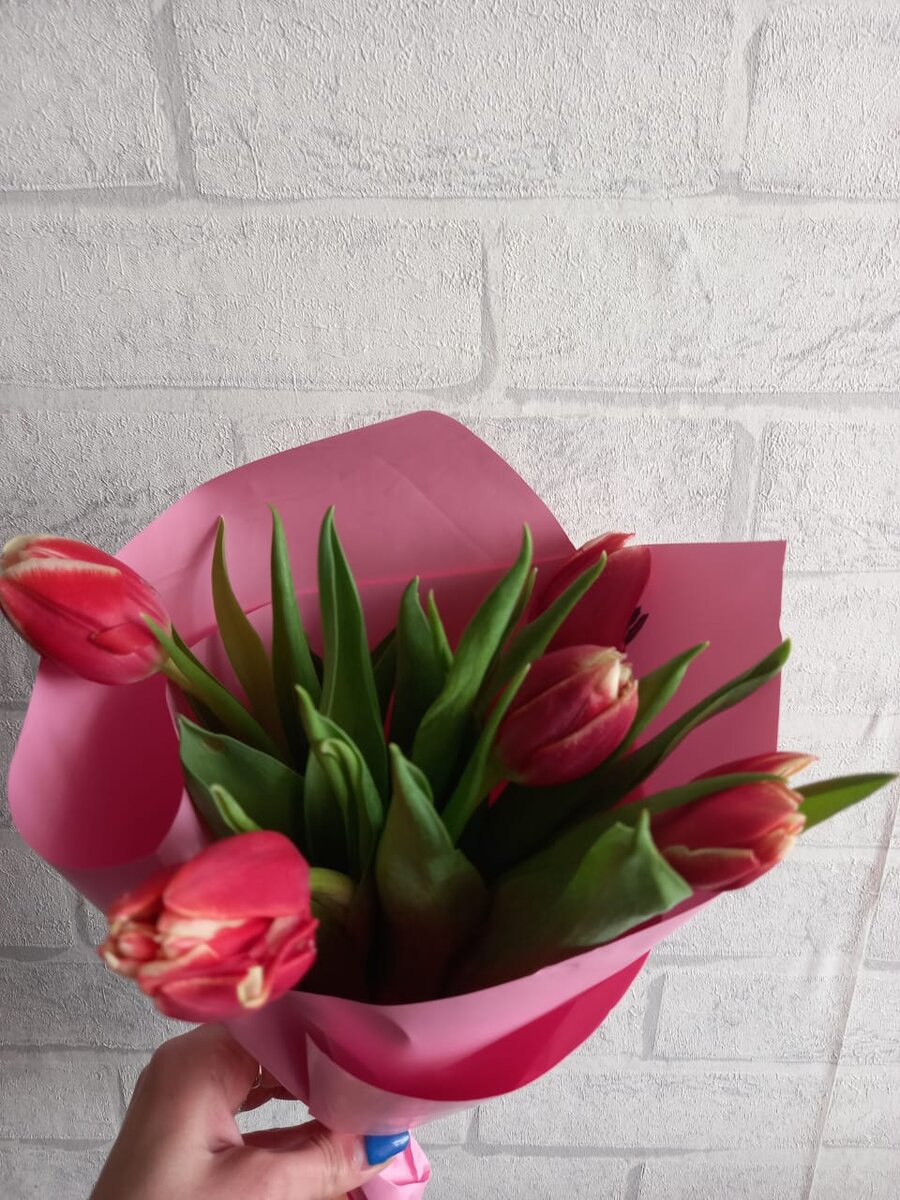 Тюльпанчики для вас.