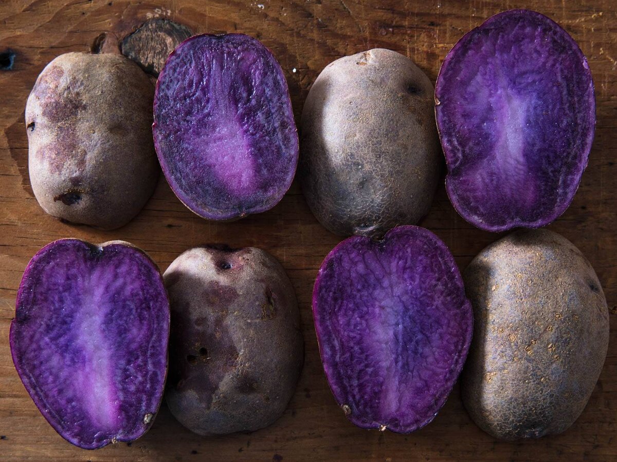 Картофель сюрприз описание сорта. Сорт картофеля голубой Дунай. Сорт картофеля перуанский фиолетовый (Purple Peruvian). Картофель вителот. Пурпл Маджести картофель.
