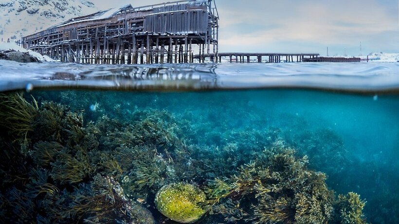 Листайте вправо, чтобы увидеть больше изображений